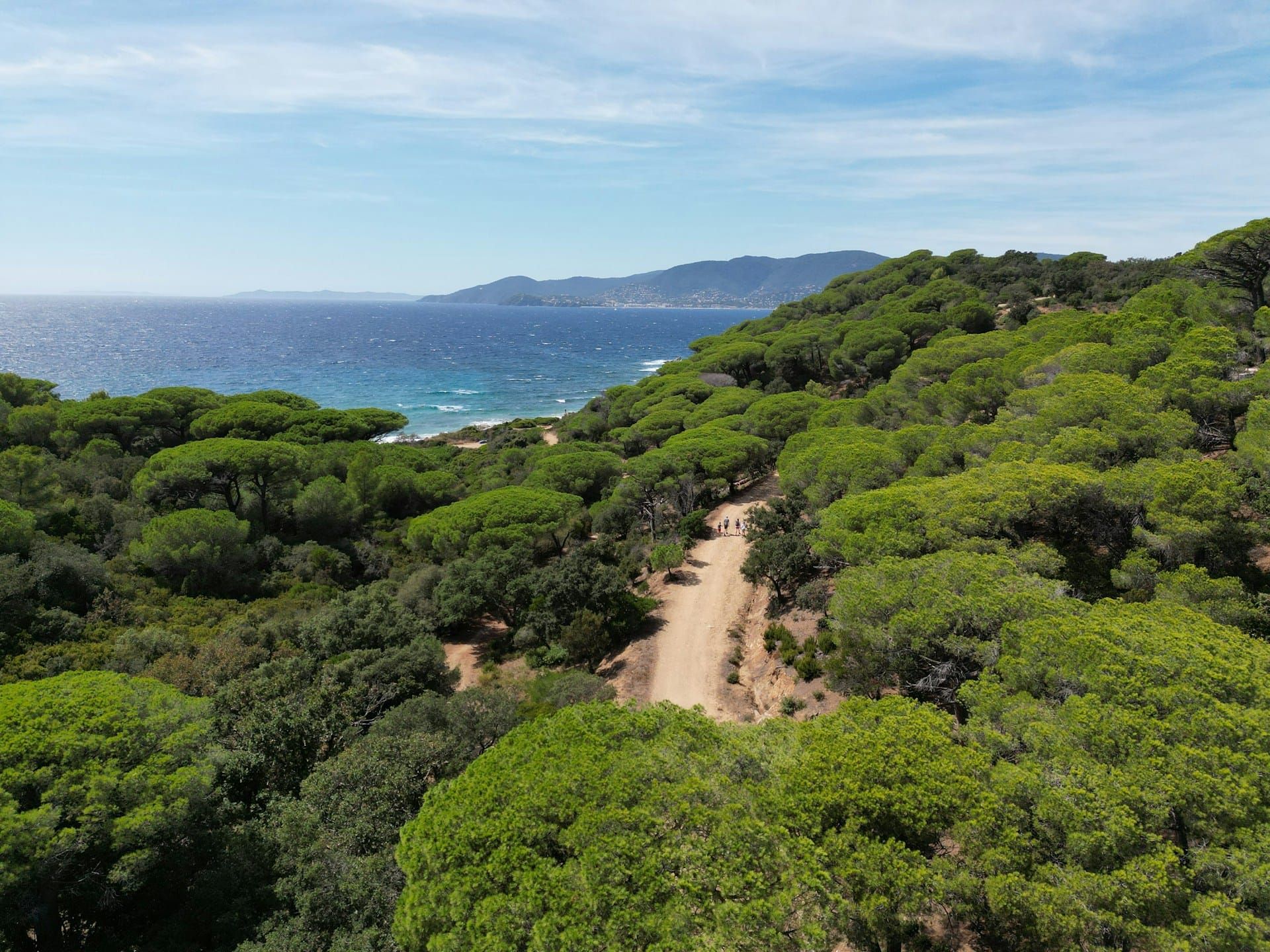 Parcela con vegetación mediterránea donde construir una vivienda